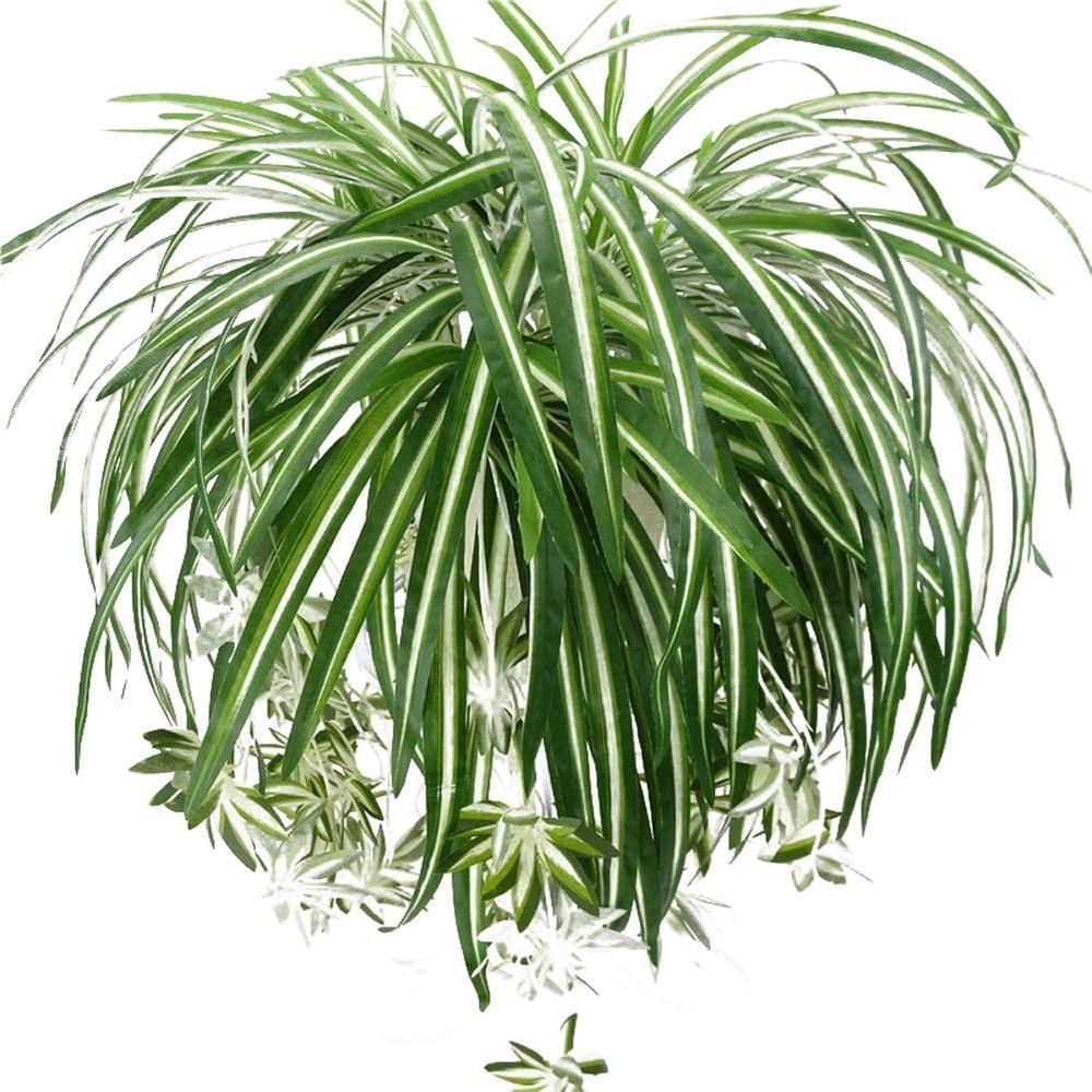 25" Artificial Chlorophytum Plant in Hanging Basket (2 Count)