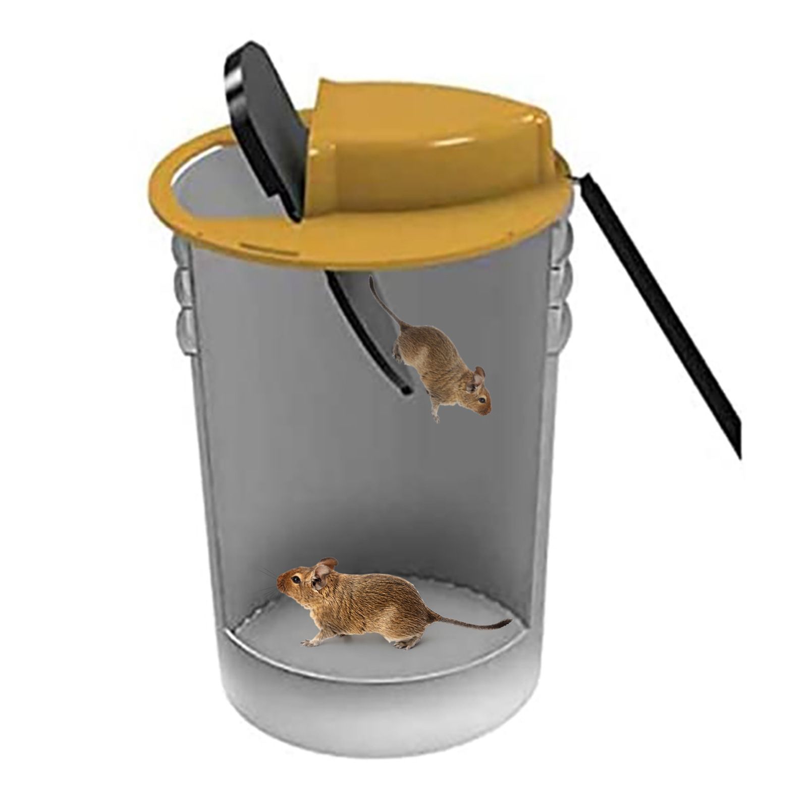 Slide Bucket Lid Mouse Trap |Humane or Lethal| |Trap Door Style| |Multi Catch |Auto Reset| |Indoor Outdoor| |No See Kill|