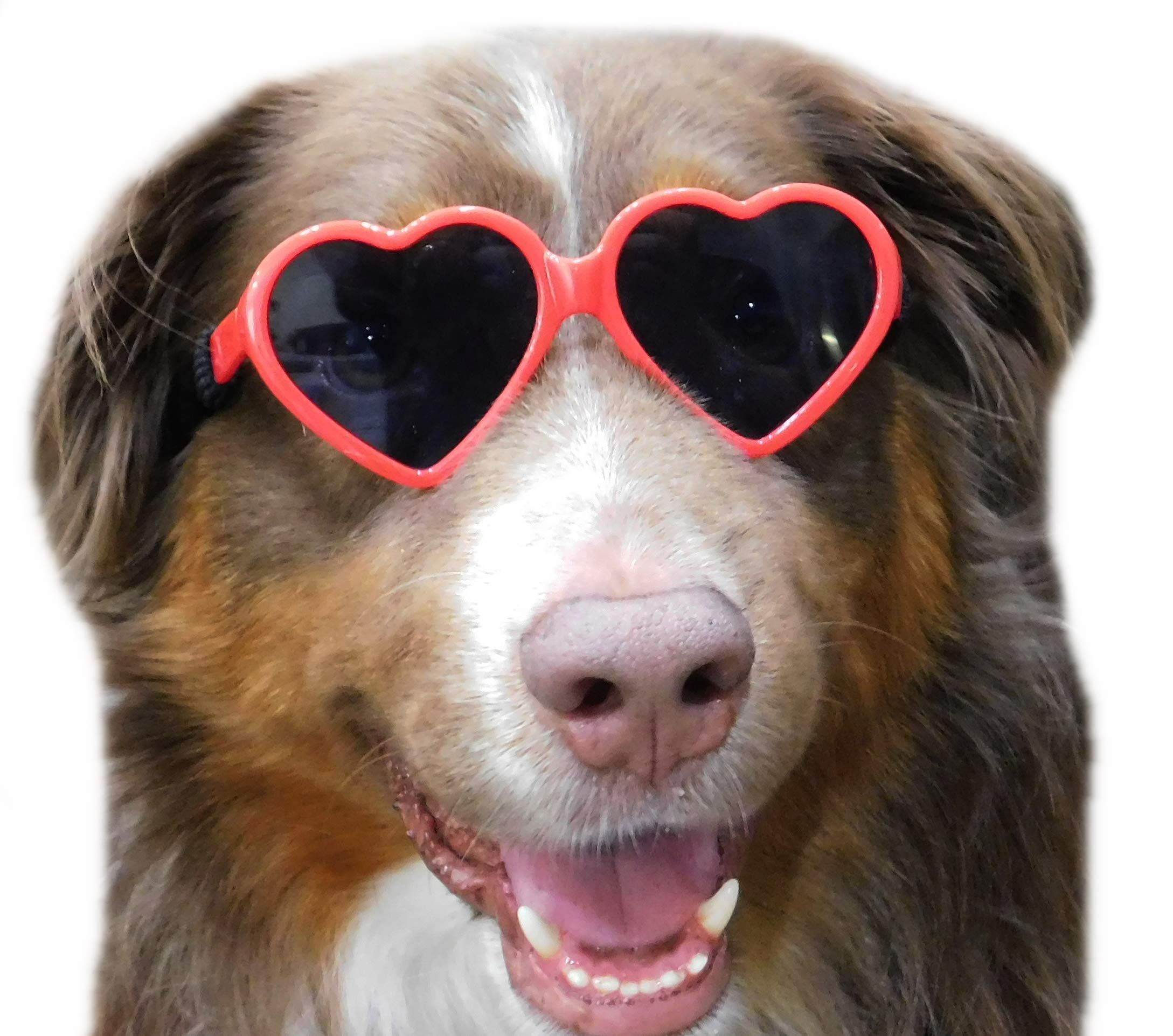 Dog Small Breed up to 15lbs Puppy Cat Pet Heart Tiny Sunglasses Photos Props Pets Party Decor Dog Sunglasses(Red)