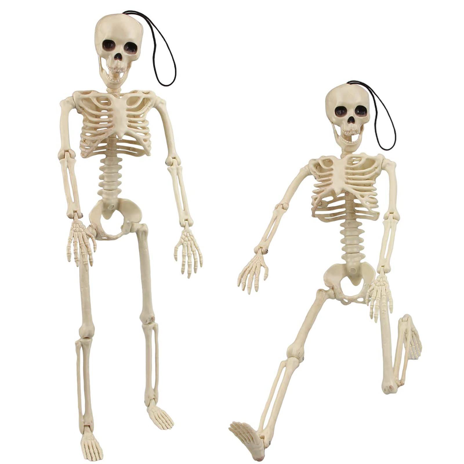 16" Halloween Skeleton 2pcs Full Body Posable Halloween Skeletons with Movable Joints Realistic Spooky Skeletons for Haunted House