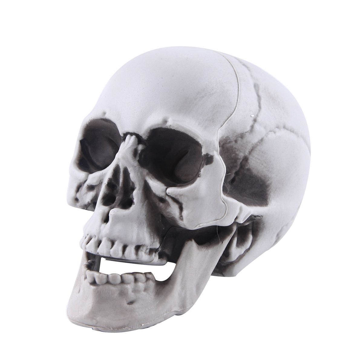 Skull Decor Plastic Skulls Heads, Day of The Dead Decor Human Skull Life Size Skeleton Head Realistic Model