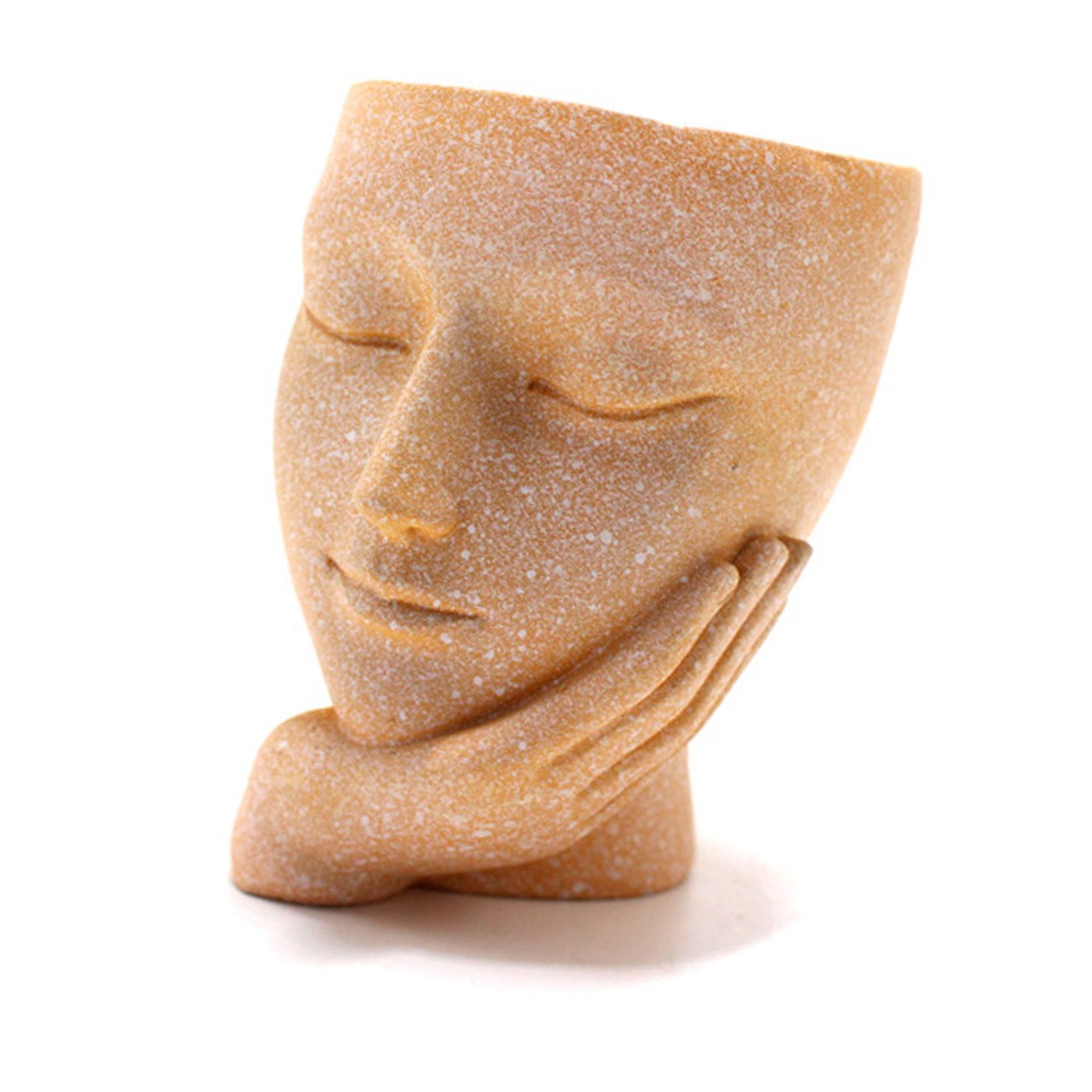 Face Flower Pot Ornament Innovative Resin Succulent Potted Desktop Plants Landscape Decorations
